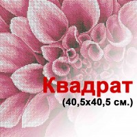 Квадратні схеми