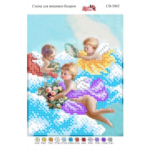 СВ 5003 Ангелики