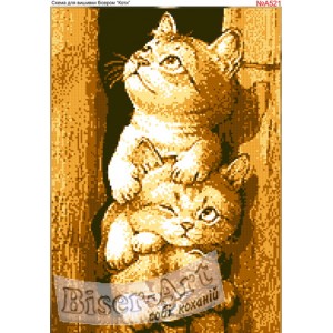 A521 Котики