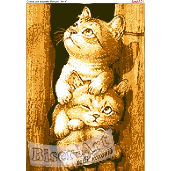 A521 Котики