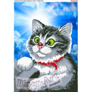 A529 Котик з сонечком