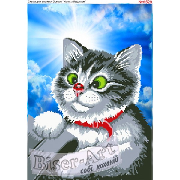 A529 Котик з сонечком