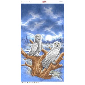 ПВ 008 Сови