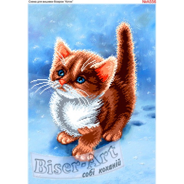 A556 Котик