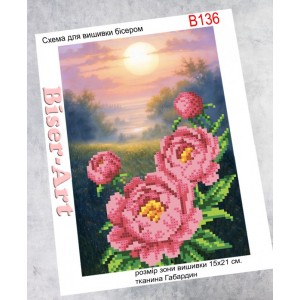 B136 Півоніі на світанку