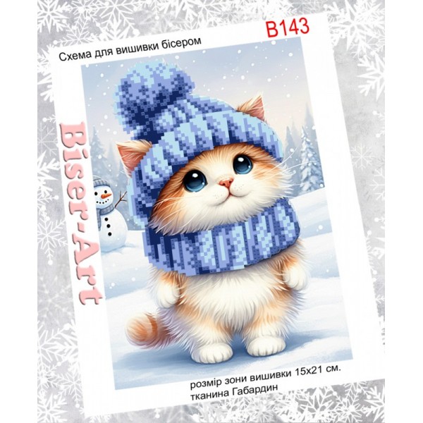 B143  Зимовий котик