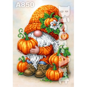 А850 Гном з гарбузами
