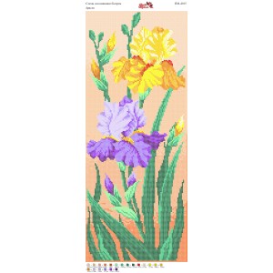 ПМ 4015 Іриси