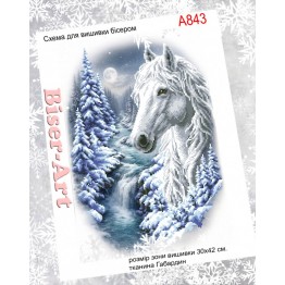 А843 Кінь взимку А843 Кінь взимку