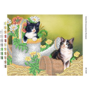 БС 4104 Котики