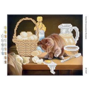 БС 4107 Котик-пустун