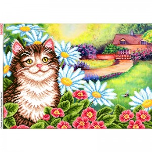A592 Котик у квітах