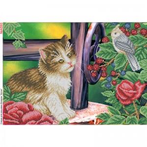 A593 Котик