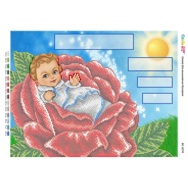 БС 3274 Метрика (хлопчик)