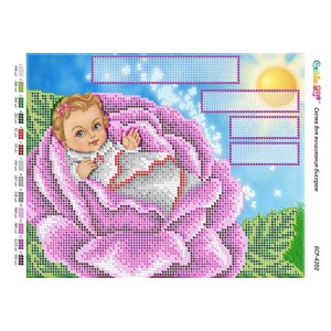 БС 4202 Метрика (дівчинка)