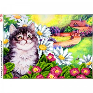 158 Котик у квітах