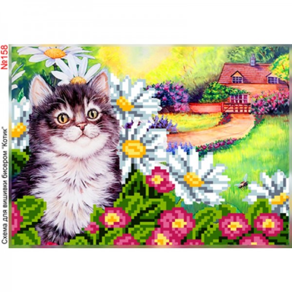 158 Котик у квітах