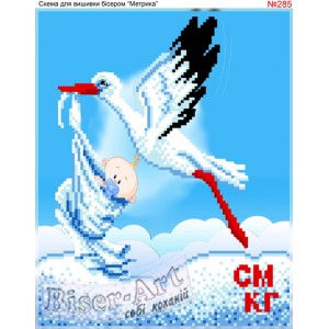 285 Метрика (хлопчик)